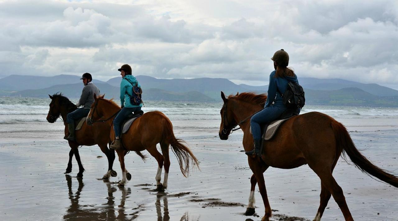 Wild Kerry Lodge เกลนเบห์ ภายนอก รูปภาพ
